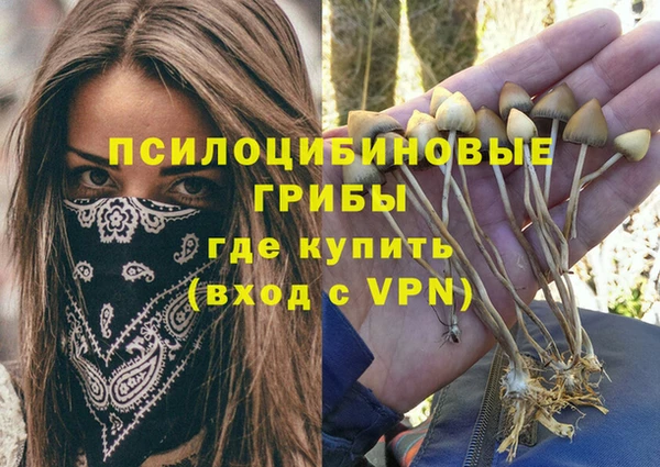 сатива Киреевск