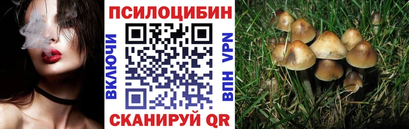 даркнет сайт  Артём  blacksprut ONION  Галлюциногенные грибы Psilocybe 