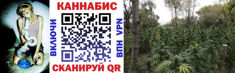 hydra как войти  Артём  Марихуана White Widow  продажа наркотиков 